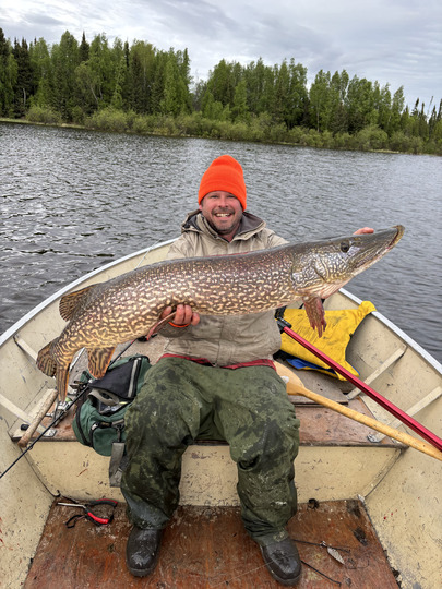 Northern Pike