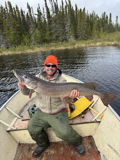 Northern Pike