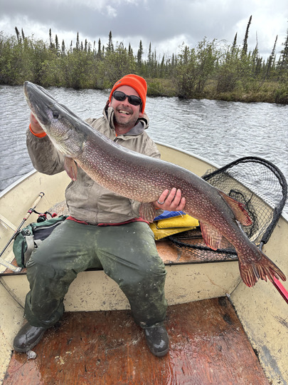 Northern Pike
