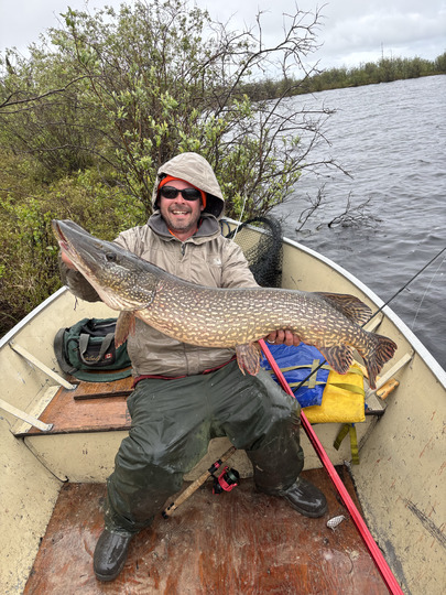 Northern Pike