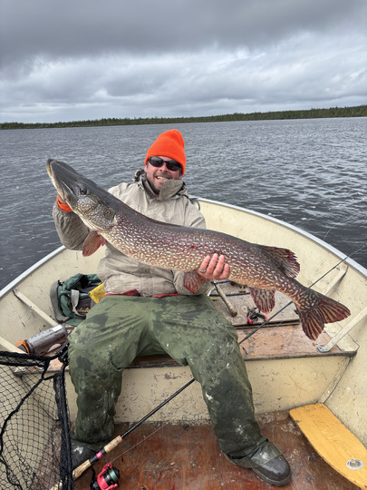 Northern Pike