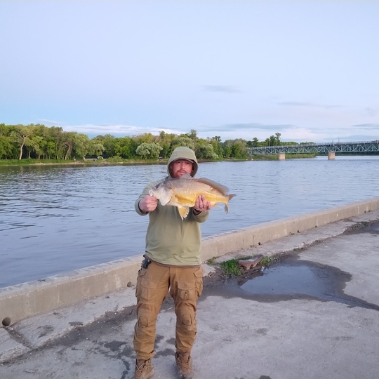 Freshwater Drum