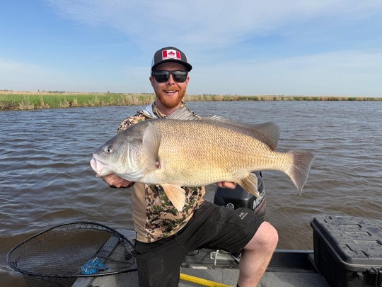 Freshwater Drum