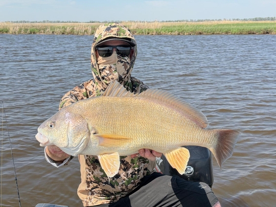 Freshwater Drum