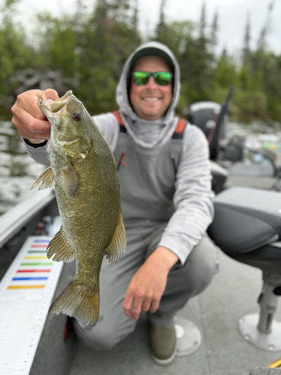 Smallmouth Bass