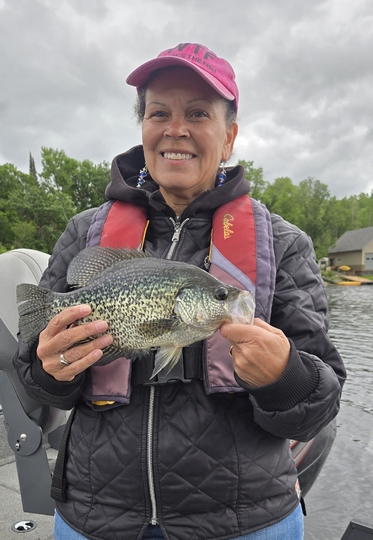 Black Crappie