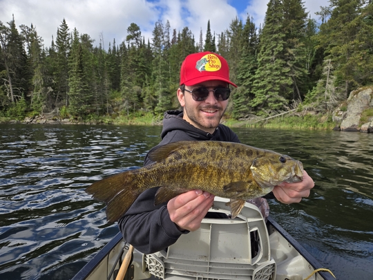 Smallmouth Bass