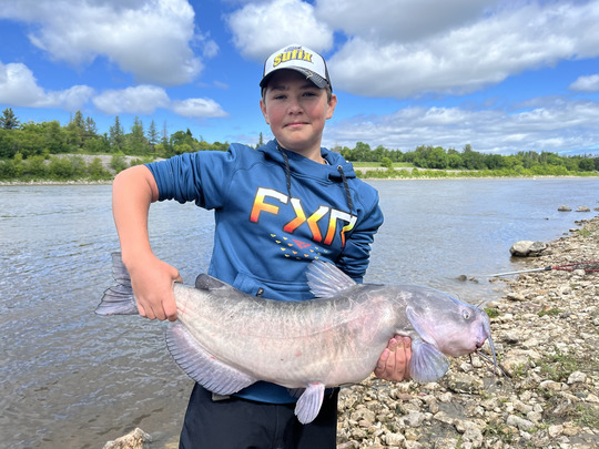 Channel Catfish