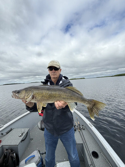 Walleye