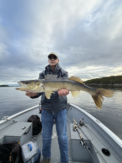 Walleye