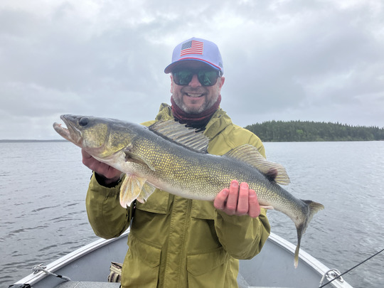 Walleye