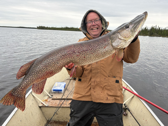 Northern Pike