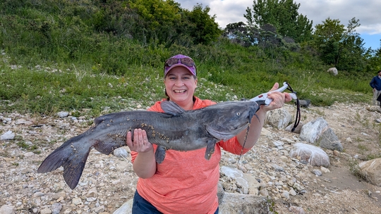 Channel Catfish