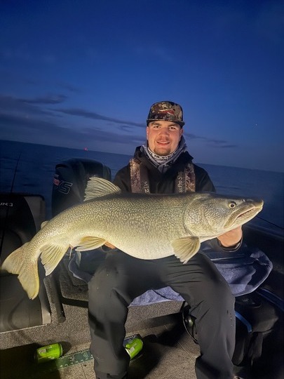 Lake Trout