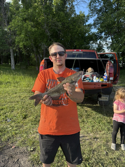 Bullhead