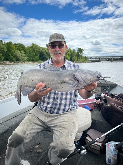 Channel Catfish