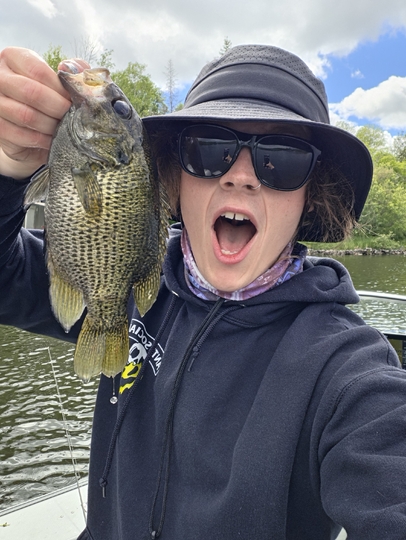 Rock Bass