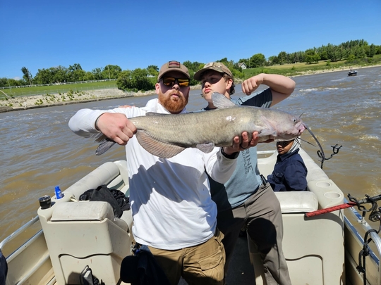 Channel Catfish