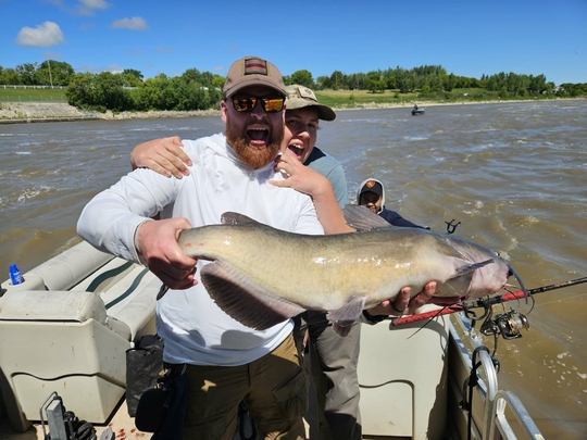 Channel Catfish