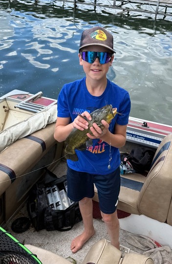 Bullhead