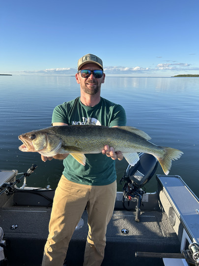 Walleye