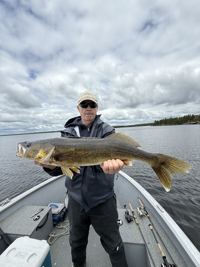Walleye