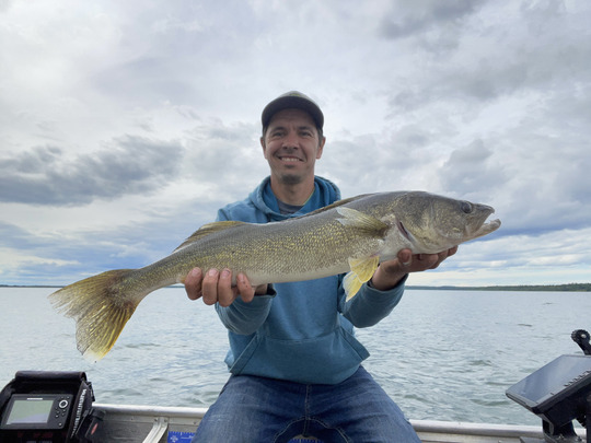 Walleye