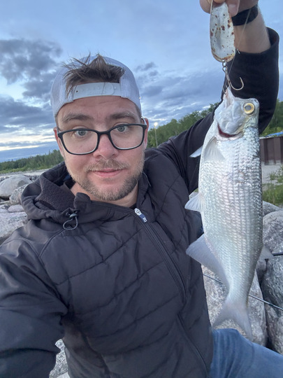 Goldeye