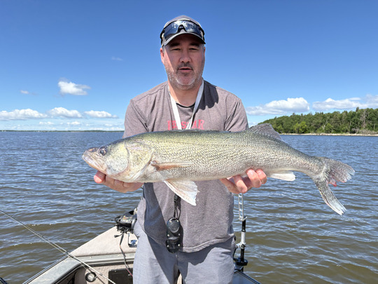 Walleye