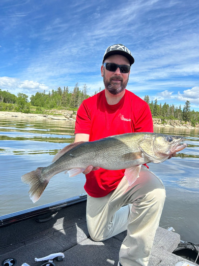 Walleye