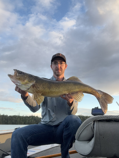 Walleye