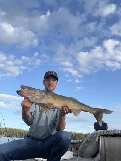 Walleye