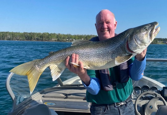 Lake Trout