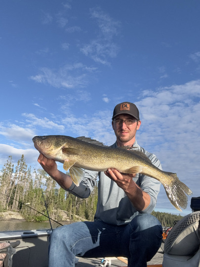 Walleye
