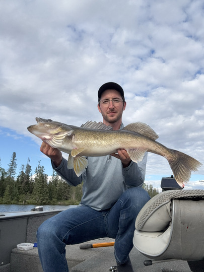 Walleye
