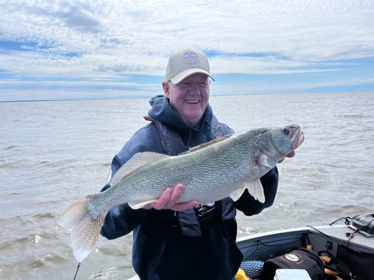 Walleye