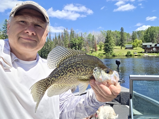 Black Crappie