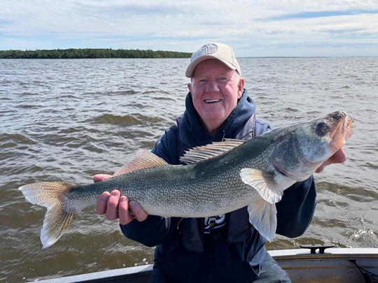 Walleye