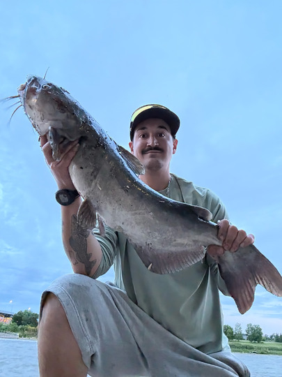 Channel Catfish