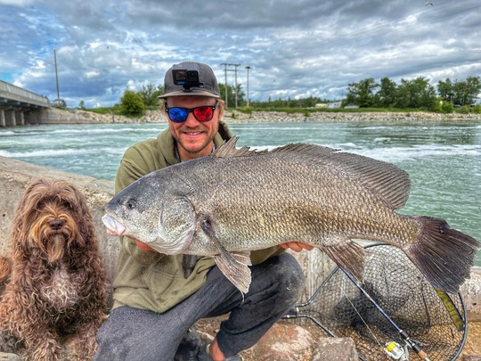 Freshwater Drum