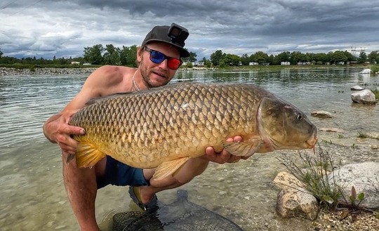 Common Carp
