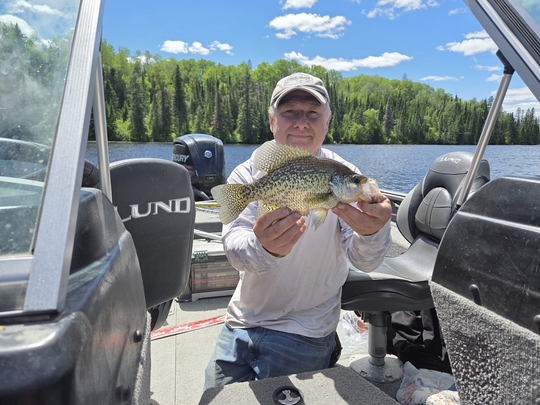 Black Crappie
