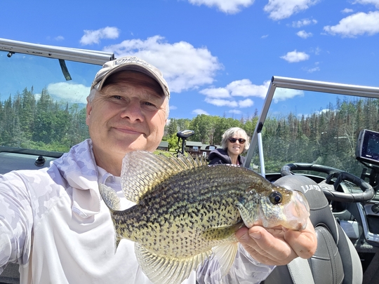 Black Crappie