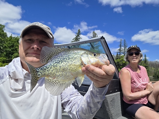 Black Crappie