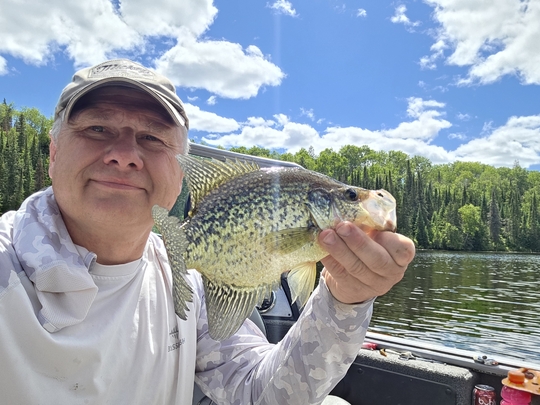 Black Crappie