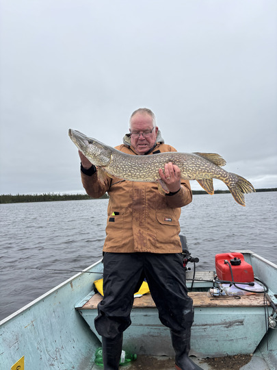 Northern Pike