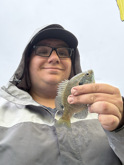 Sunfish