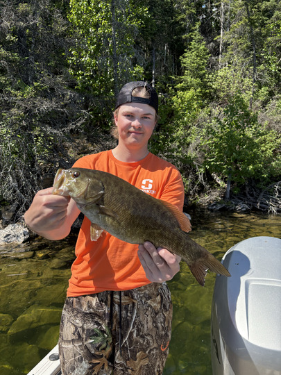 Smallmouth Bass