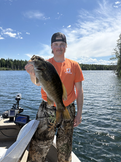 Smallmouth Bass