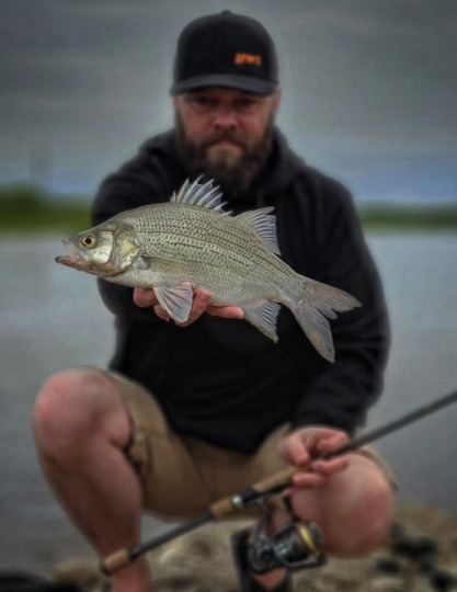 White Bass